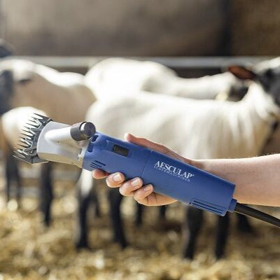 Scheermachine Econom NOVA 200 watt schaap GT694