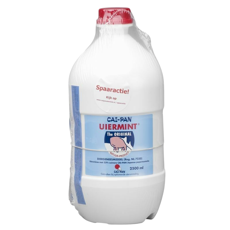 Cai-pan Uddermint - Various Varieties