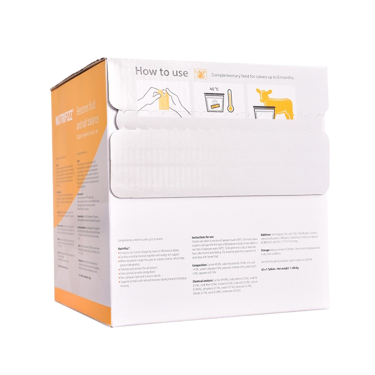 Nutrifizz Brausetablette 42 x 1 Tablette