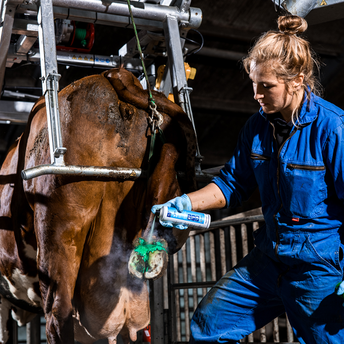 MicraDerm Spray Topro 250 ml