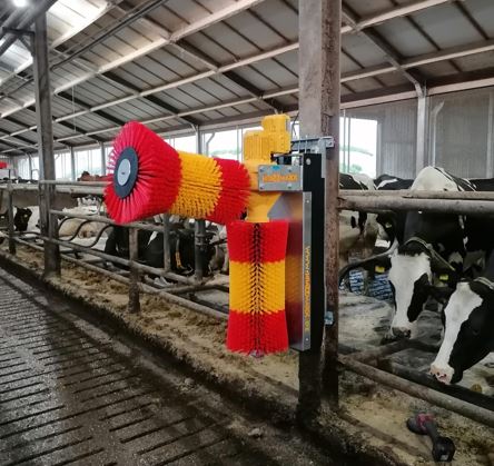 Cow brush KRAZZMAXX IV, 230 V, 50 Hz.