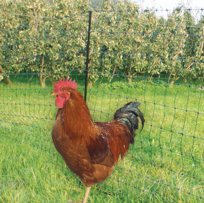 Pluimveenet, groen 50 mtr / 107 cm