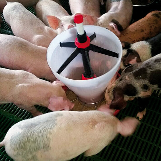 Juego para tolva Maxi