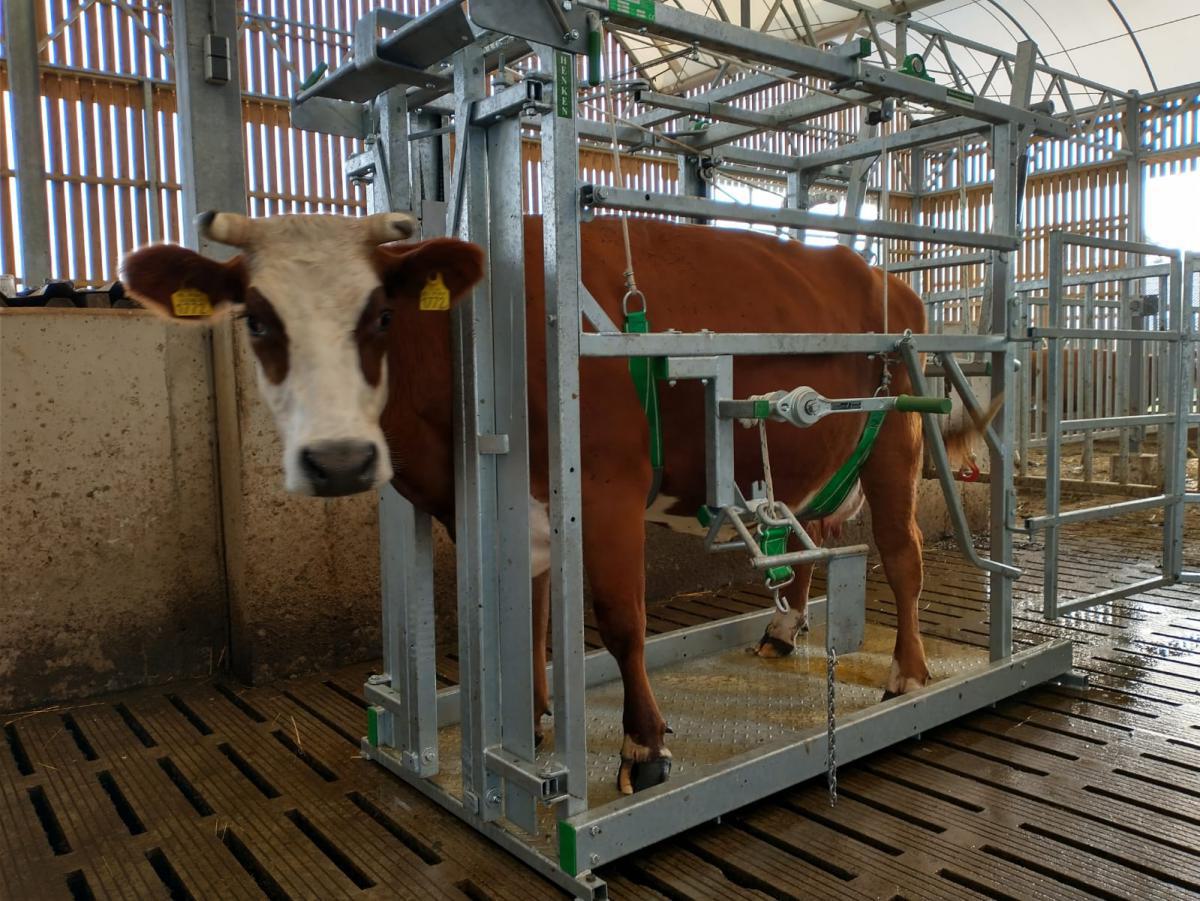 Porte d'entrée à grande ouverture