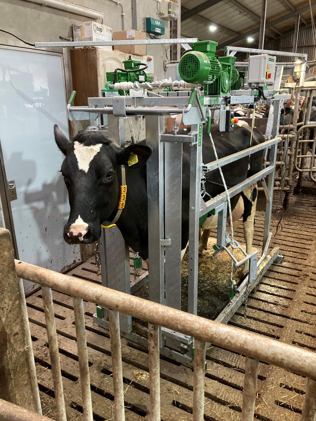 Caja de garras tipo L profi 400v