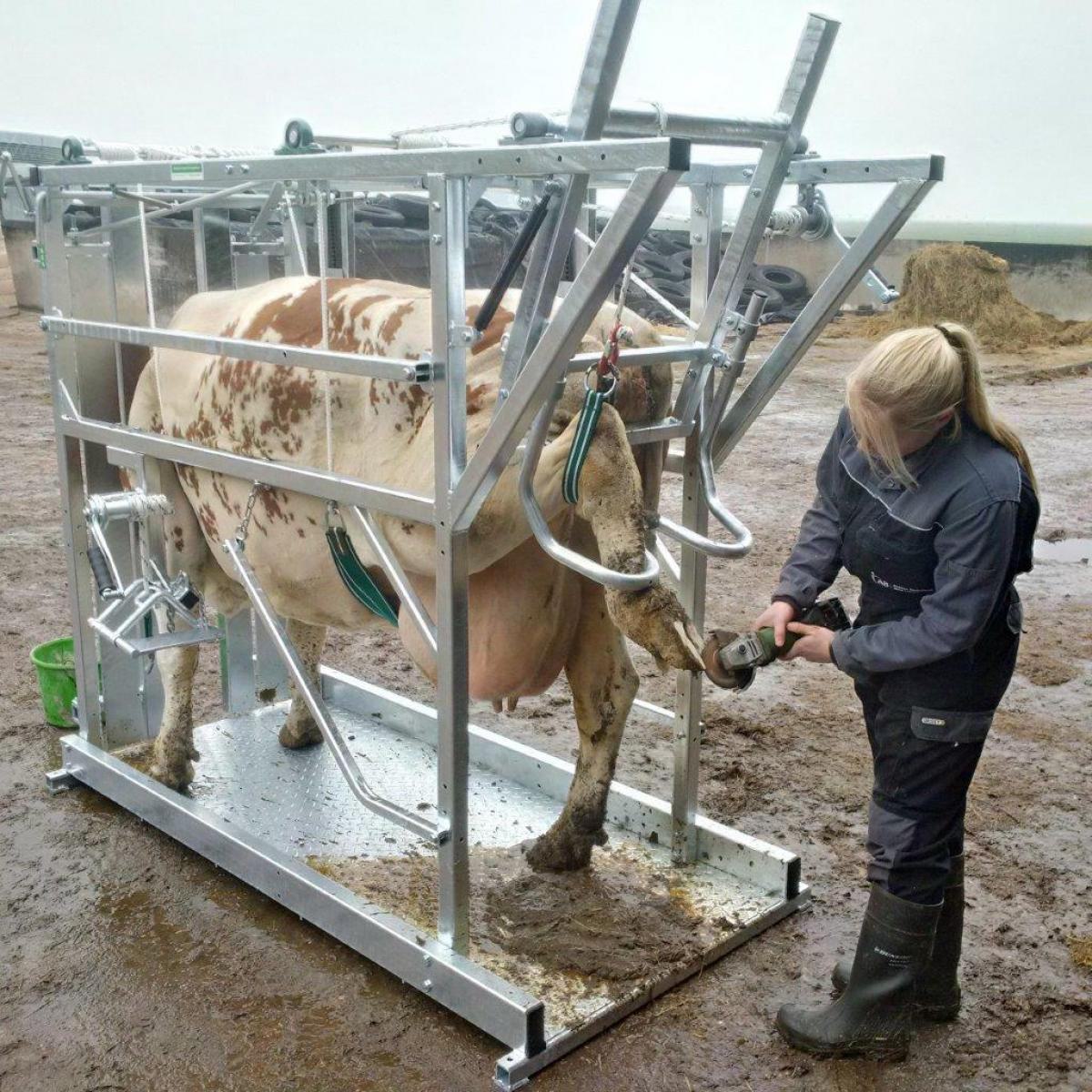Boîte de garniture de mâchoires type L