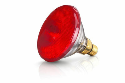 Lampe chauffante EB 100W Rouge Phillips