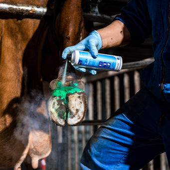 MicraDerm Spray Topro 250 ml