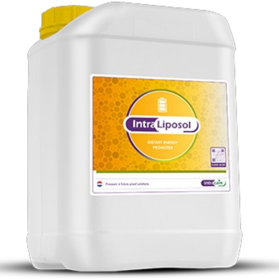 Intra Liposol 20 litros