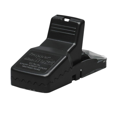 Muizenval Trapper mini-REX