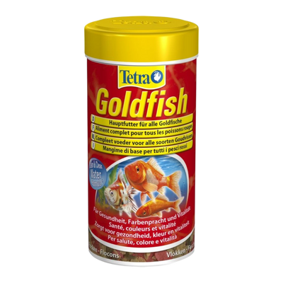 Złote rybki Tetra - różne rozmiary