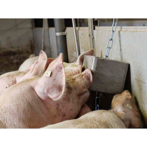 Mineralleckstein Extra