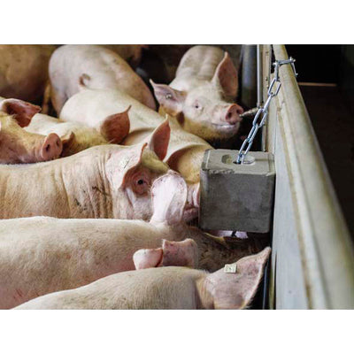 Mineralenliksteen Extra