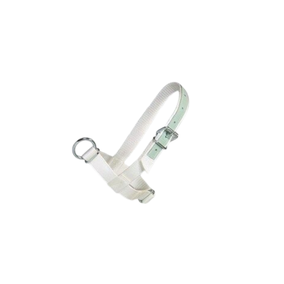 Licou en nylon avec renfort en cuir