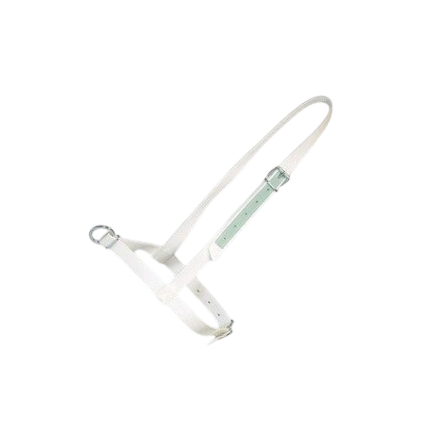 Bull halter nylon with leather reinforcement