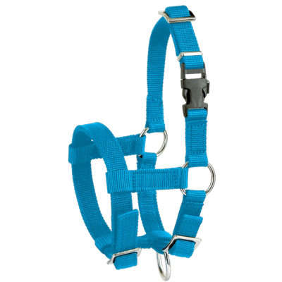 Halter Alpaca regulowany 20 mm