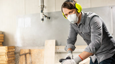 Moldex FFP2 máscara antipolvo - 10 piezas