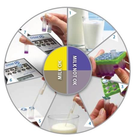 DelvoTest® T milk test 100 pcs