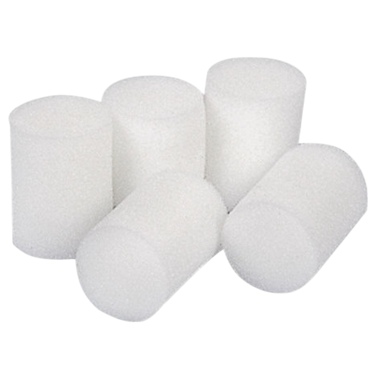 Eponges de nettoyage 40mm vierges, emballées par 10 pièces.