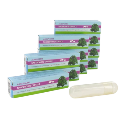 Cápsulas de placenta 10 uds.