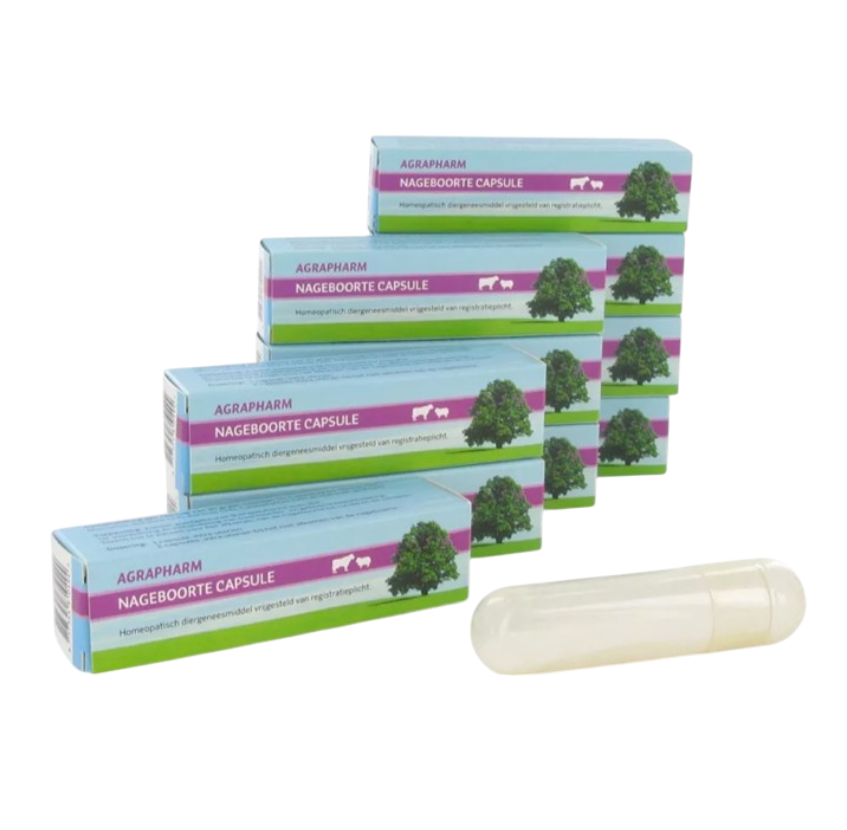 Afterbirth capsules 10 pcs.