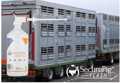 SecurePig Flash 1000ml pour-on