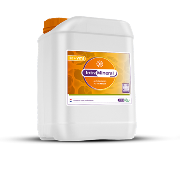 Intra Mineral Se + Vit E - Diverse varianten