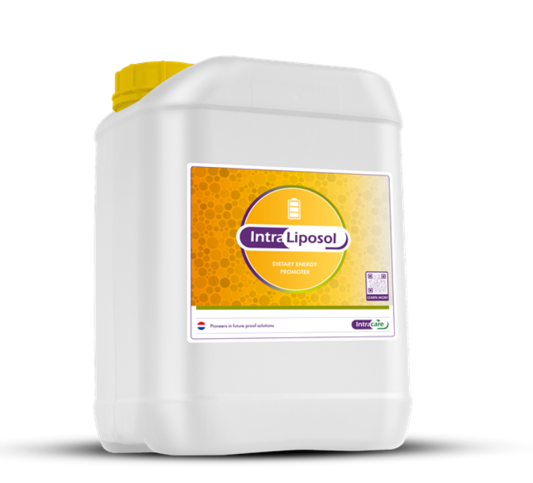 Intra Liposol 20 liter