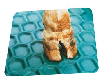 Lavapiés KB280, 2,8 m