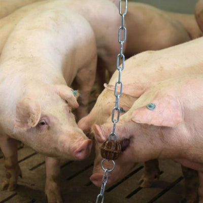 Mordedor Ø 75 mm - sin cadena