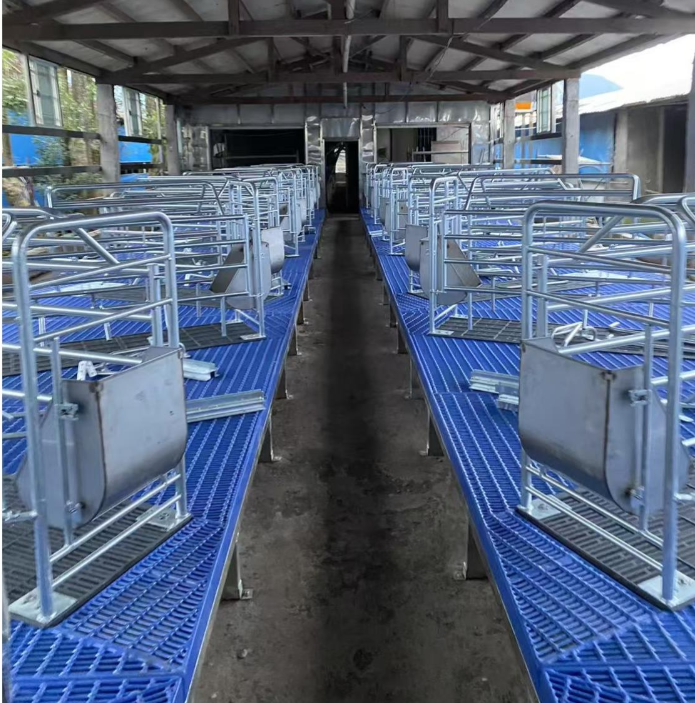 Stainless steel coated floor for a pig farmer in Taiwan – Stable brothers