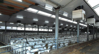 Lighting plan on request