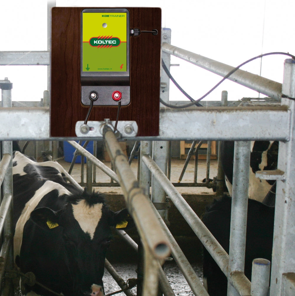 Cow Trainer 24V – Stable brothers