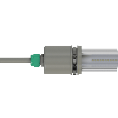 RUDAX 32W Dim Cattle