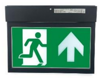 Z-Emergency Follow Light Surface Mounted Large