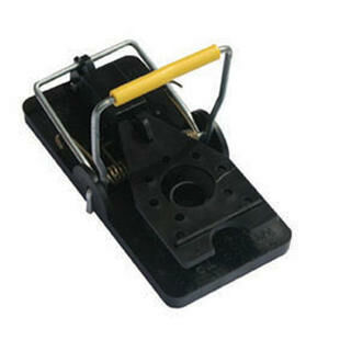 Mousetrap Snap E