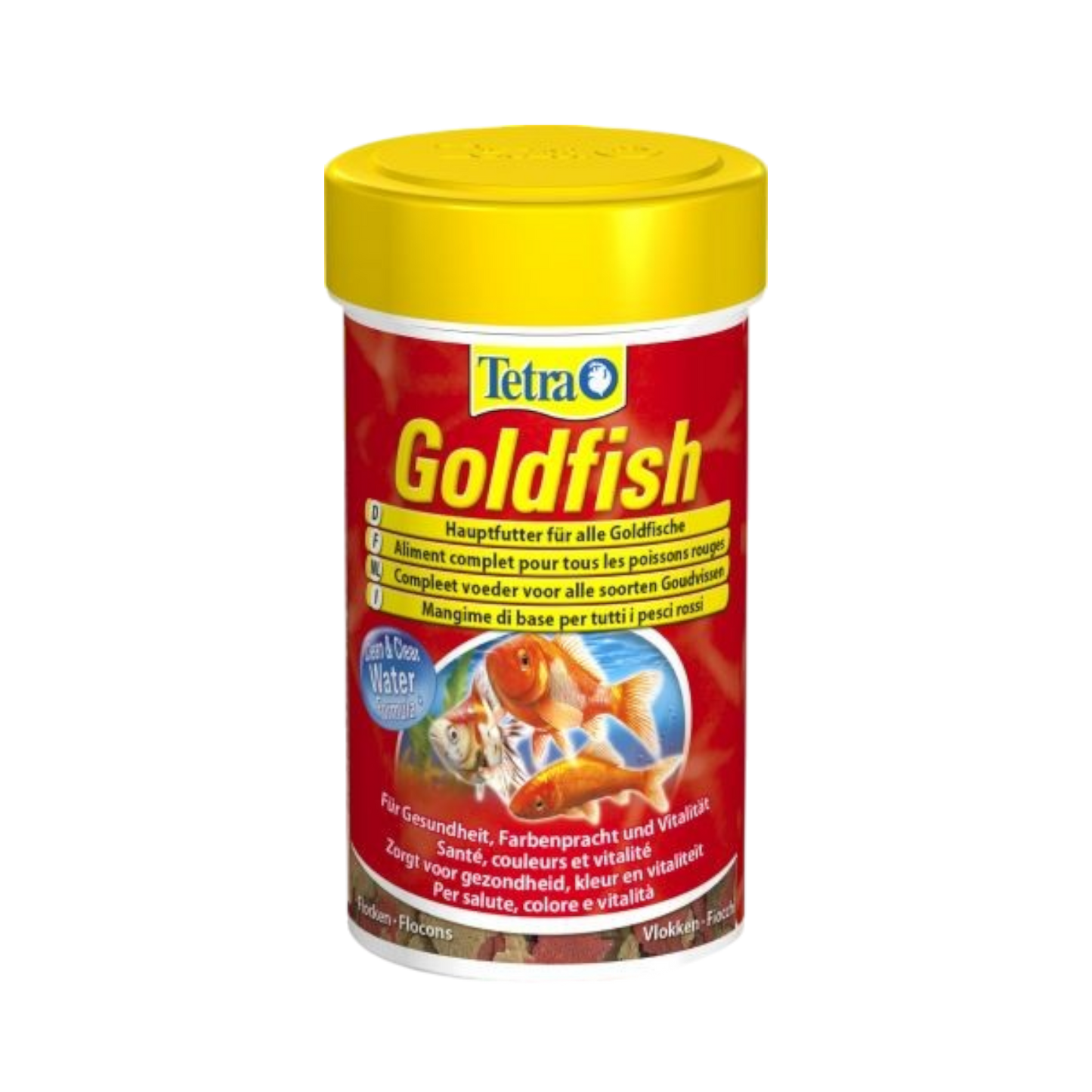 Poissons rouges Tetra - Différentes tailles