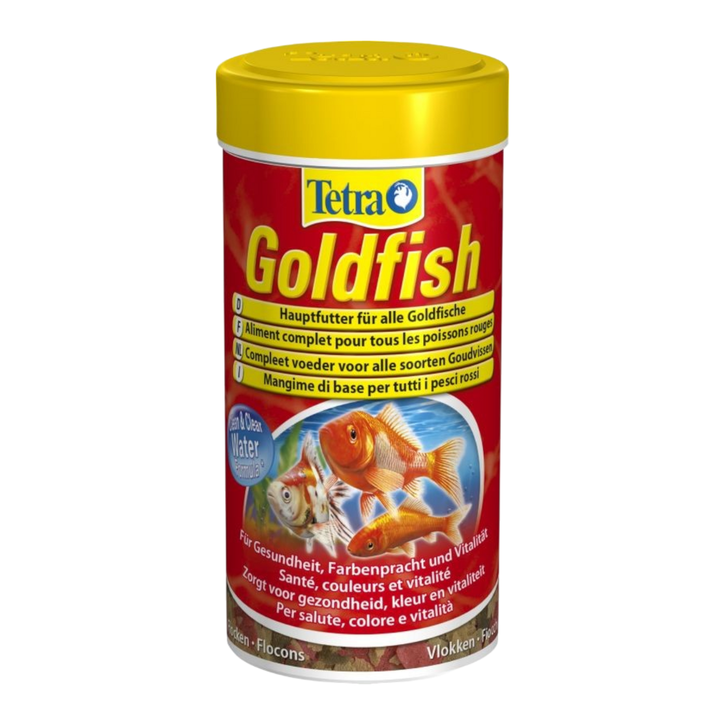 Poissons rouges Tetra - Différentes tailles