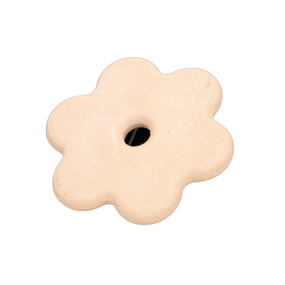 Knabbelbloem zeugen/beren