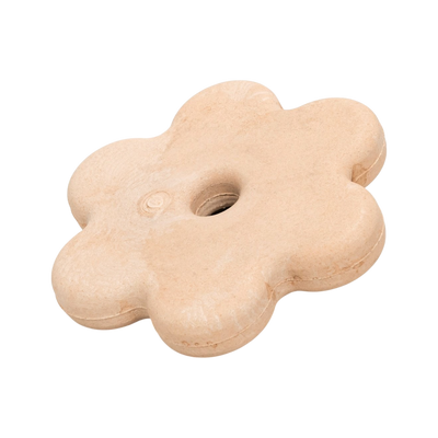 Knabbelbloem zeugen/beren