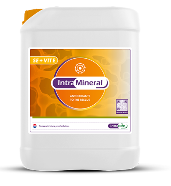 Intra Mineral Se + Vit E - Diverse varianten