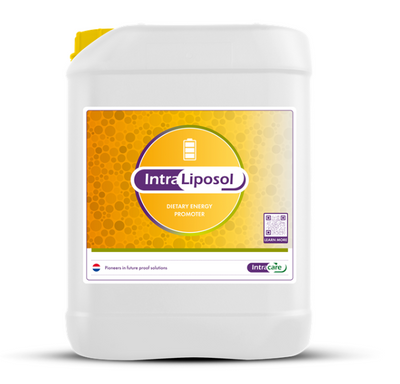 Intra Liposol 20 liter