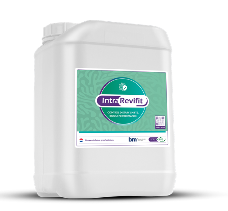 Intra Revifit - Diverse varianten