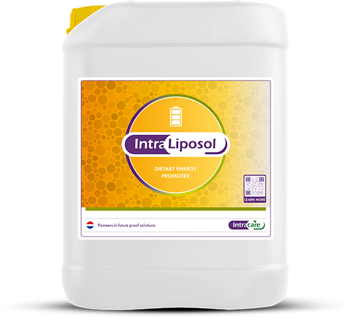 Intra Liposol 20 litres