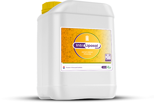 Intra Liposol 20 liter